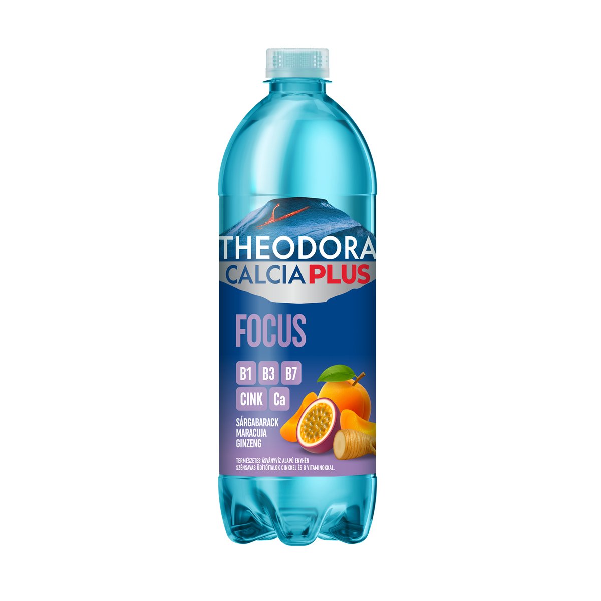 Theodora Calcia Plus Focus