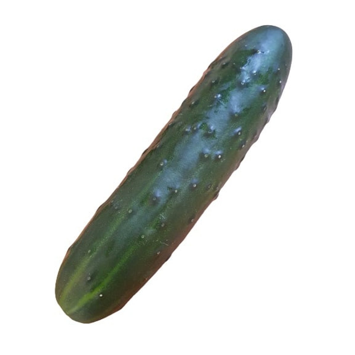 Magyar fürtös uborka,lédig