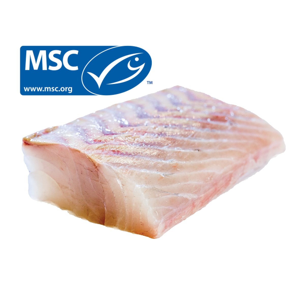 FJORU MSC Fekete tőkehal törzs