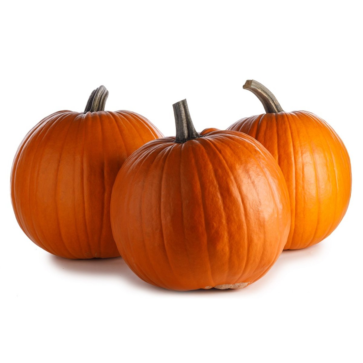 Halloween tök 5-8 kg