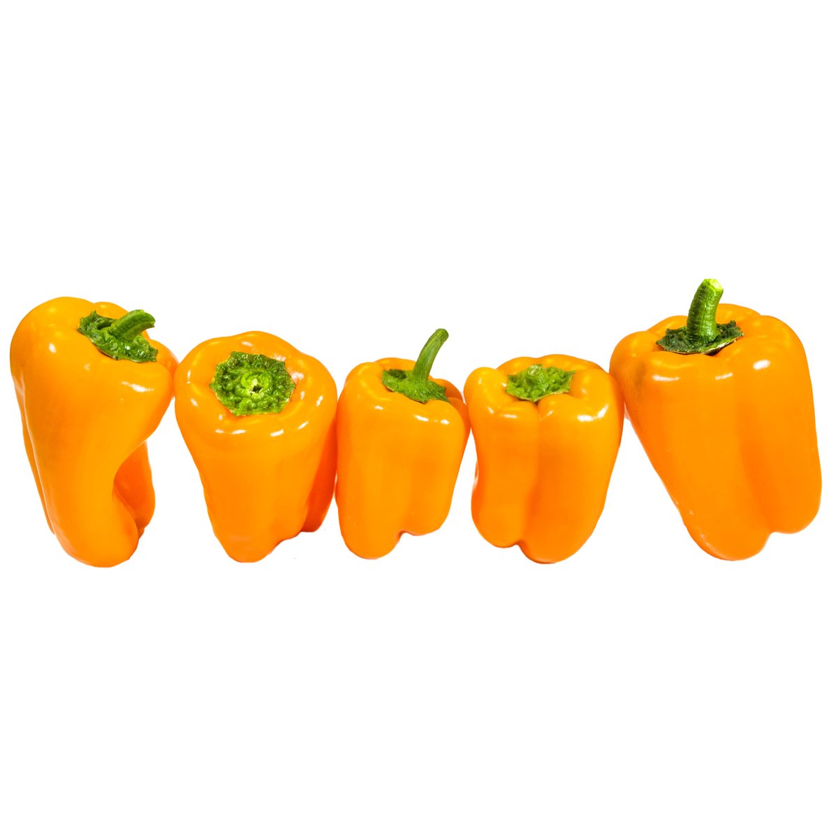 Tatayoyo prémium paprika